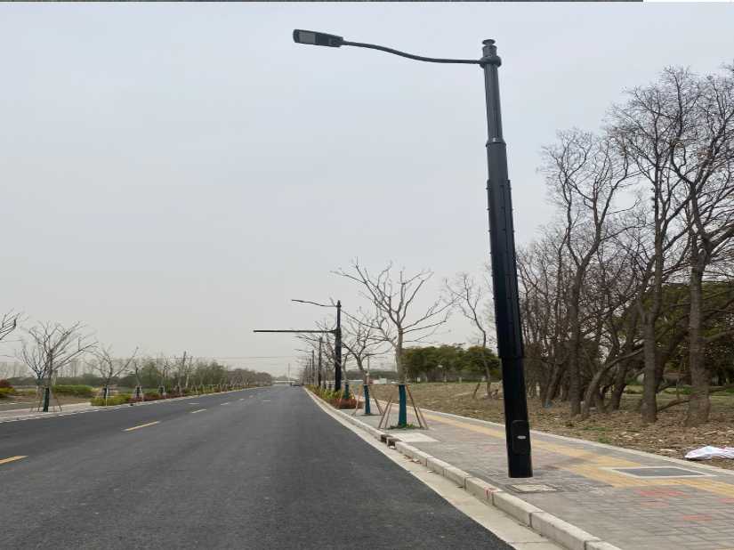 嵊州市上海综合杆 太阳能路灯工程